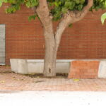 Carrer de l’Esport, El Morell